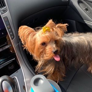 Meet your Posher, Ki